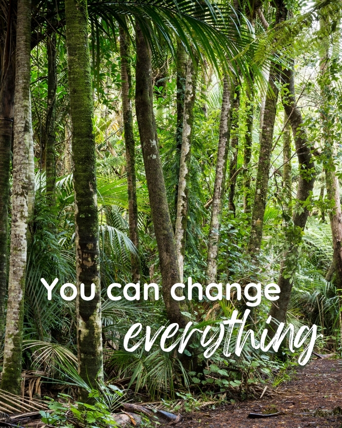 Tall nikau palms in New Zealand bush with the words: You can change everything