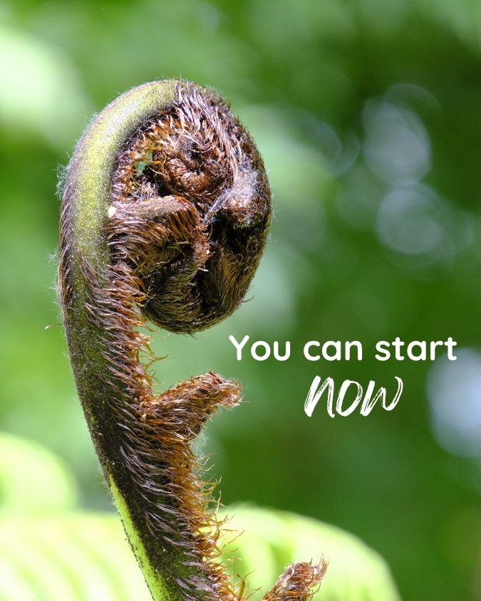 Unfurling koru fern frond with the words: You can start now