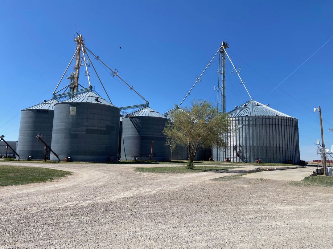 Farm & Land Listings Dalhart Real Estate Dalhart, TX