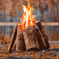 Follow Us On Instagram - Rental X Webflow Template