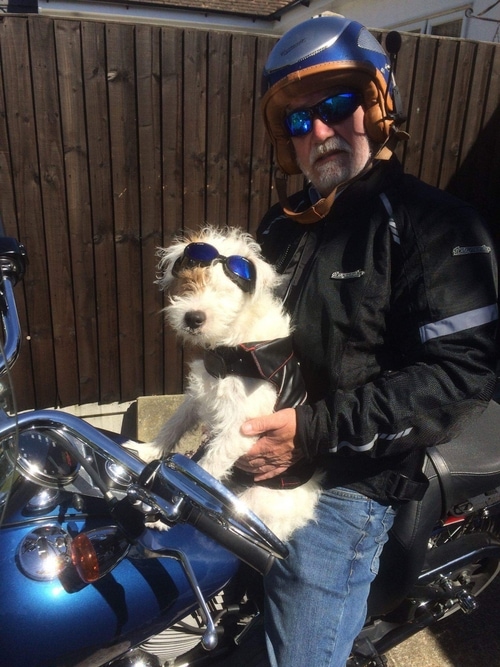 10 great ideas for looking after your puppy