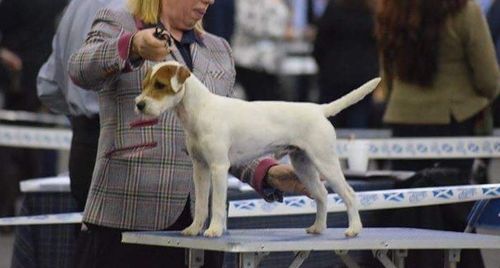 images of the parents