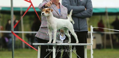 images of the parents