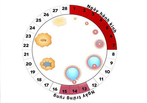 Quan hệ bao nhiêu lần thì có thai