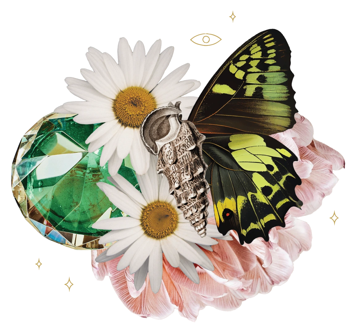 Collage with a green faceted gem, two white daisies, pink petals, a butterfly wing, a detailed shell, and small gold star accents.