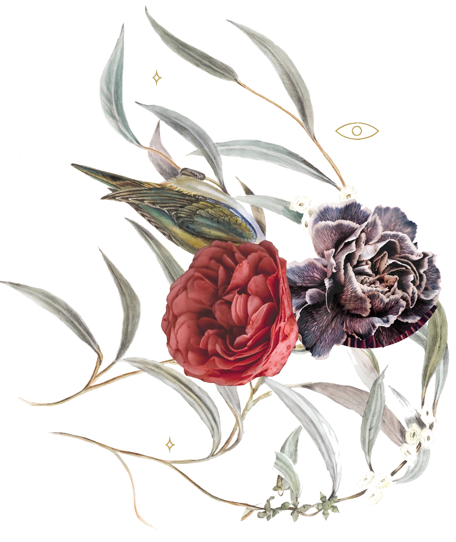 Illustration of two detailed flowers, one red and one purple, surrounded by silvery-green leaves and a small bird with brown and green feathers.