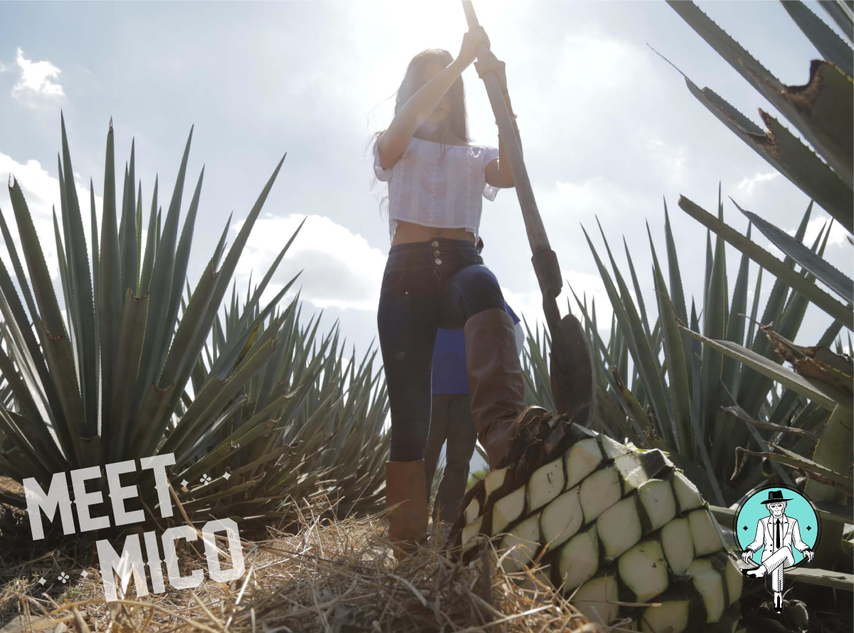MICO Tequila | Small Batch. Unmatched Excellence.