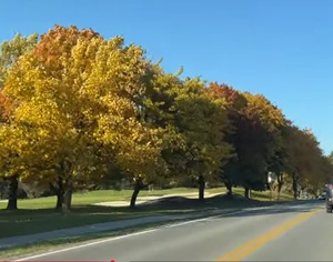 Drive on the Niagara Parkway