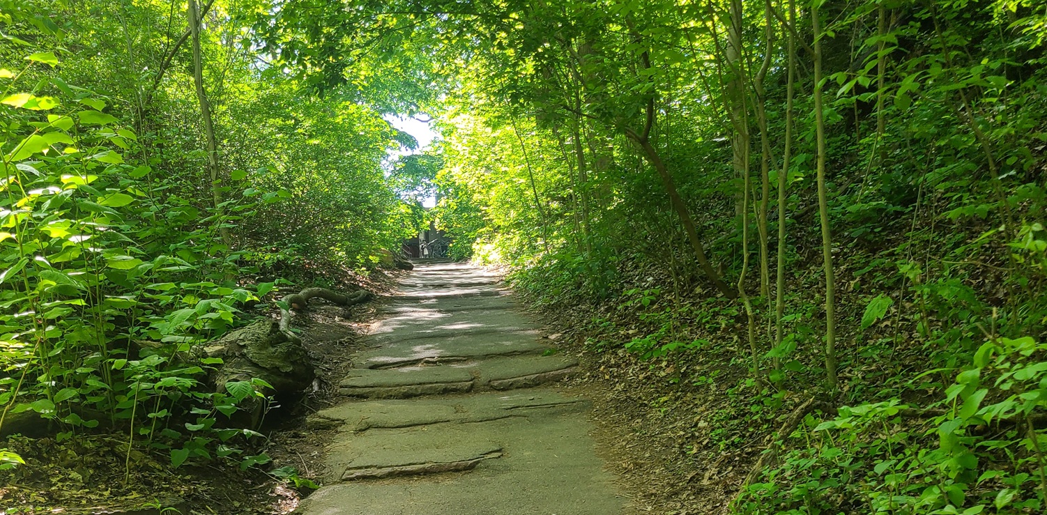 A quiet path in Queen Victoria Park, Niagara Falls