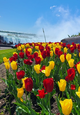 Niagara Falls Canada in Spring
