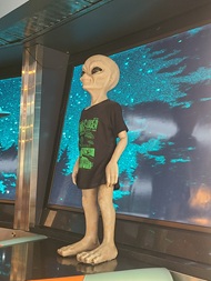 Flying Saucer Restaurant in Niagara Falls