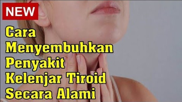 Cara Tradisional Mengobati Penyakit Kelenjar Tiroid Sembuh Tanpa Di Operasi