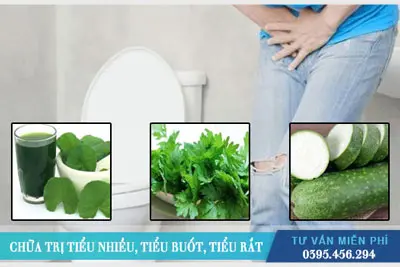 Bác sĩ tư vấn cách chữa trị tiểu nhiều, tiểu buốt, tiểu rắt tại Hà Nội