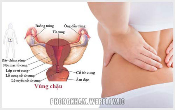 Bệnh viêm vùng chậu dấu hiệu triệu chứng cách phòng bệnh