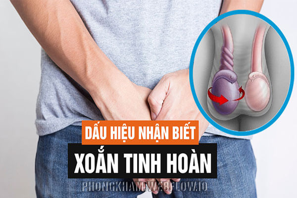 Xoắn tinh hoàn