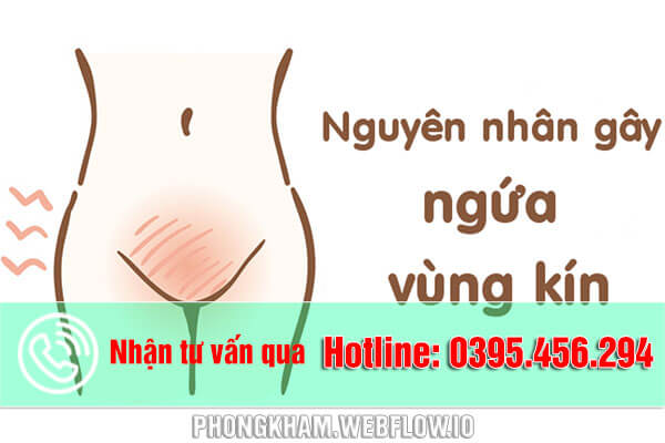 Một số nguyên nhân gây ngứa vùng kín thường gặp