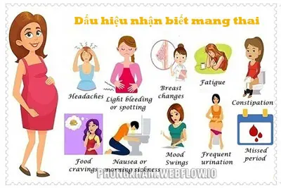 20+ cách nhận biết có thai tại nhà không cần que thử chính xác nhất 2025