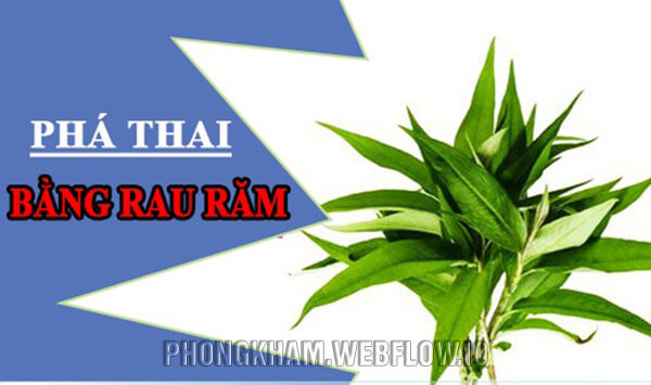 Phá thai tự nhiên bằng rau răm được nhiều chị em sử dụng