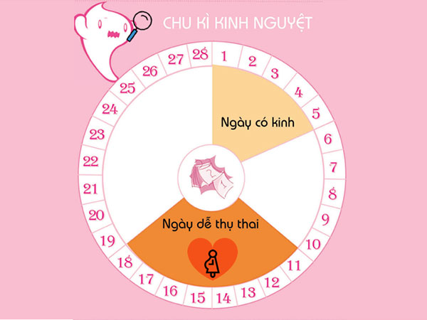 Cách tính chu kỳ kinh nguyệt, ngày rụng trứng để sinh con theo ý muốn