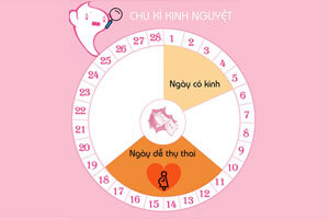 Cách tính chu kỳ kinh nguyệt, ngày rụng trứng để sinh con chính xác nhất
