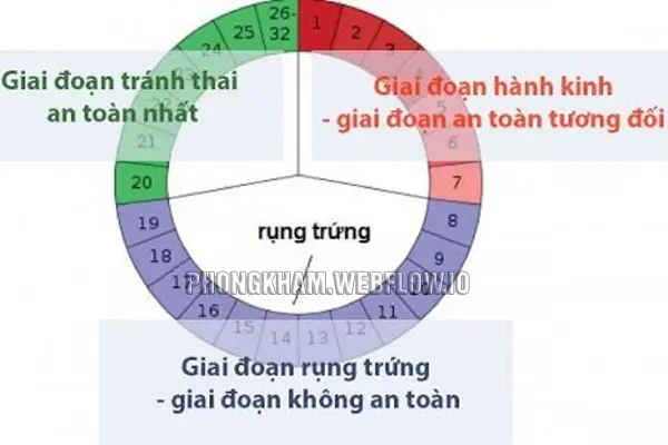 4 cách tính ngày rụng trứng cực chuẩn để mang thai hoặc tránh thai