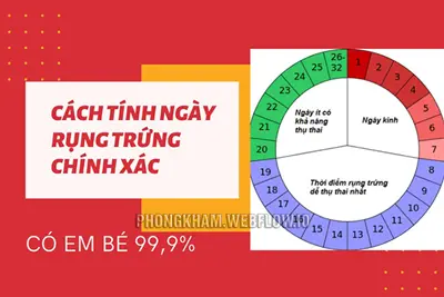 4 cách tính ngày rụng trứng cực chuẩn để quan hệ mang thai, tránh thai Hiệu quả