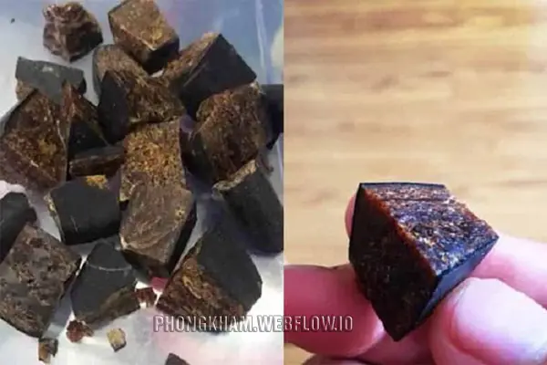 Cao Sìn Sú có tác dụng gì với sức khỏe? Cách sử dụng