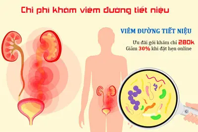 Chi phí khám viêm đường tiết niệu hết bao nhiêu tiền?