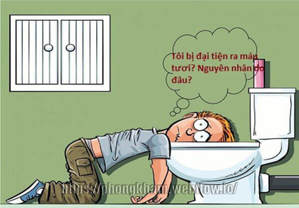 Đại tiện ra máu tươi nguyên nhân cách khắc phục hiệu quả nhất