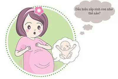 11 dấu hiệu sắp sinh đau đẻ chuyển dạ chuẩn nhất cho mẹ bầu