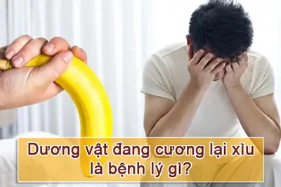 Dương vật đang cương lại xìu nguyên nhân cách khắc phục