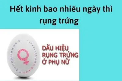 Hết kinh bao nhiêu ngày thì rụng trứng? BS Trần Thị Thành giải đáp