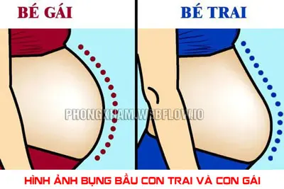 Hình ảnh bụng bầu con trai và con gái BS Trần thị Thành giải đáp