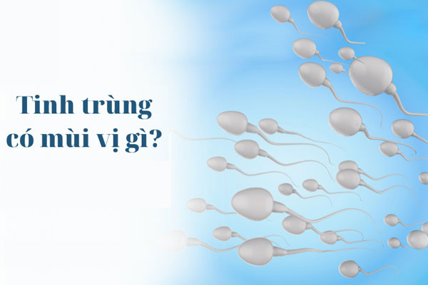 Hình ảnh tinh trùng bình thường qua tốc độ di động