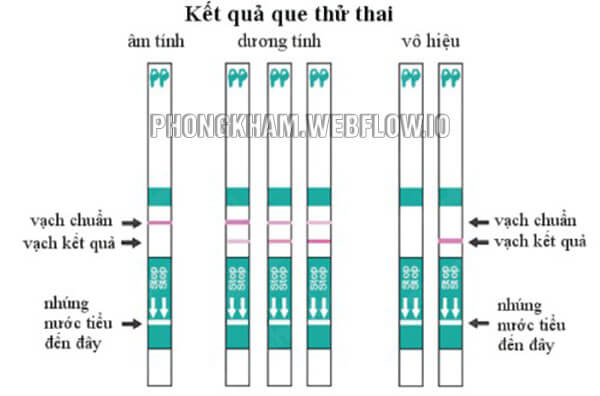 Cách sử dụng que thử thai Quickstrip