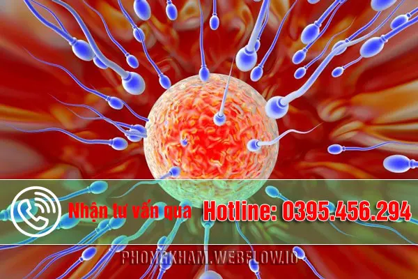 Những yếu tố để đánh giá được tinh trùng khỏe mạnh hay không