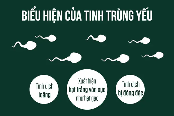 Yếu tố đánh giá tinh trùng yếu kém