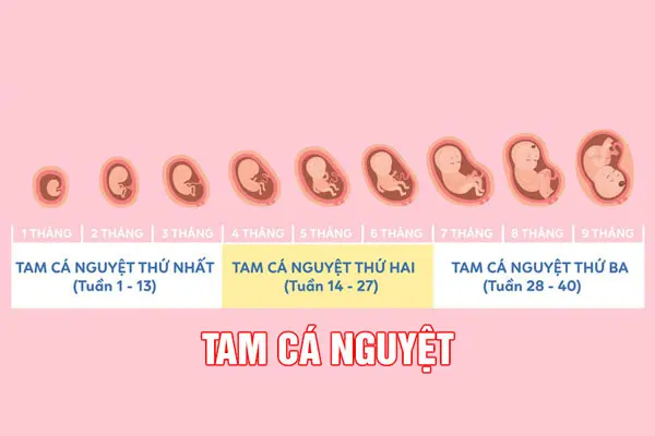 Ra máu trong tam cá nguyệt đầu tiên