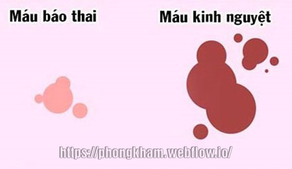 Máu báo thai phân biệt với máu kinh chính xác chuẩn nhất