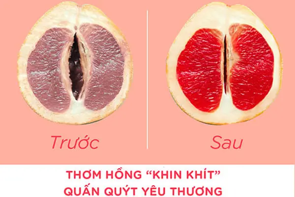 Hướng dẫn sử dụng viên đặt se khít âm đạo đúng cách