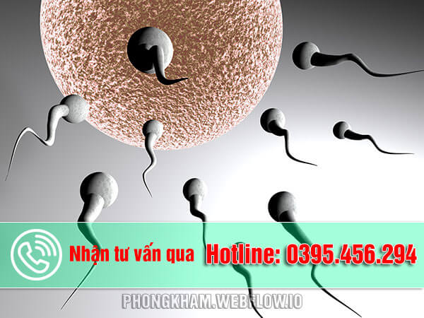 Xuất tinh sớm có ảnh hưởng đến chất lượng tinh trùng không?