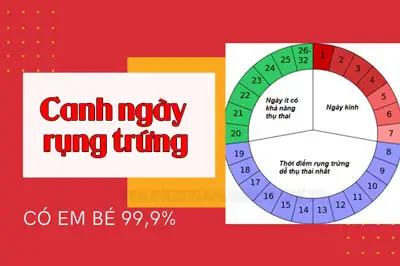 Canh ngày rụng trứng như thế nào? 5 cách canh trứng rụng tại nhà