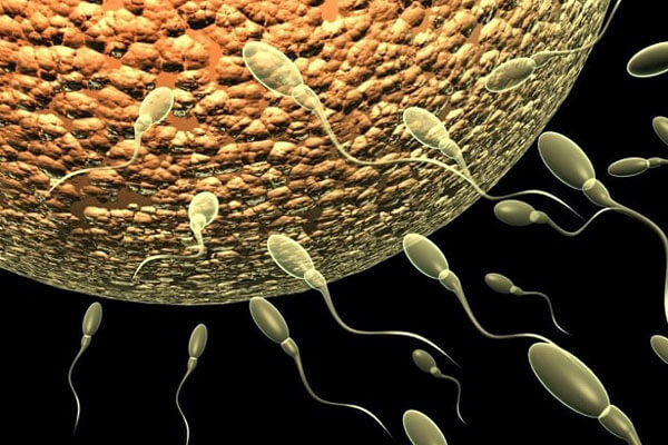 Tinh trùng yếu có con được không giải pháp chữa trị là gì