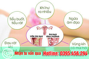 Viêm âm đạo do nấm dấu hiệu triệu chứng cách chữa hiệu quả