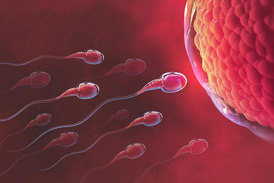 [Giải Đáp] Sau quan hệ bao lâu thì thử thai chính xác?