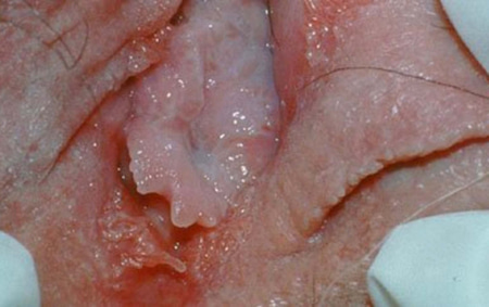 Sở Nông nghiệp và PTTT Hà Nội