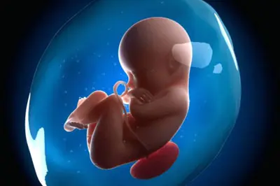 Giai đoạn nào thai nhi dễ bị dị tật, cách khắc phục