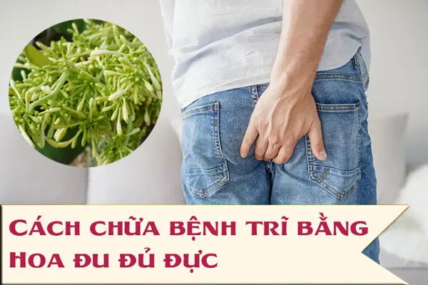 Cách chữa bệnh trĩ bằng hoa đu đủ đực đơn giản