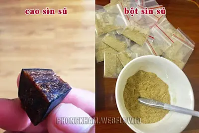 Cao Sìn Sú có tác dụng gì với sức khỏe? Cách sử dụng cho hiệu quả cao nhất