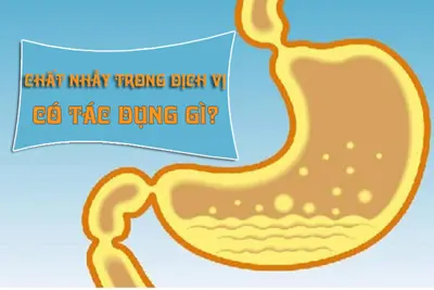 Chất nhầy trong dịch vị có tác dụng gì? Bs Trần Thị Thành giải đáp